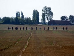 560989_10151090369013585_65751725_n